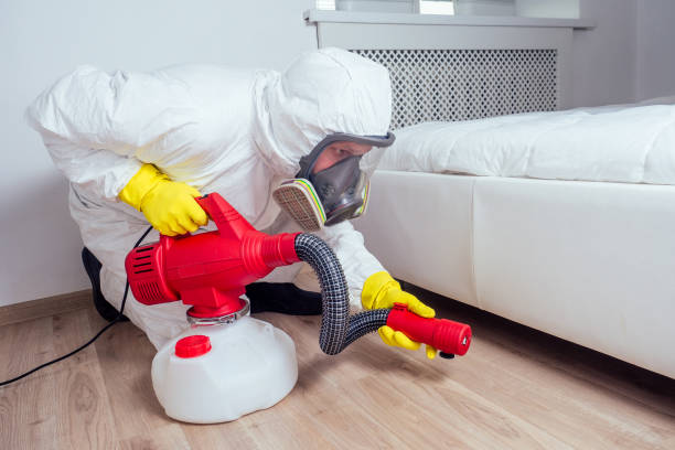 Reliable Canyon Lake, TX Pest Control Solutions