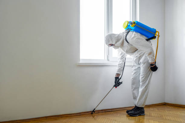 Best Pest Control for Restaurants  in Canyon Lake, TX