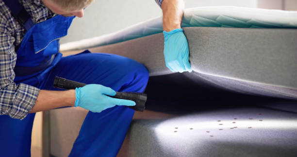 Best Best Pest Control Companies  in Canyon Lake, TX