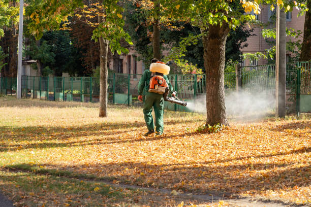 Best Residential Pest Control  in Canyon Lake, TX