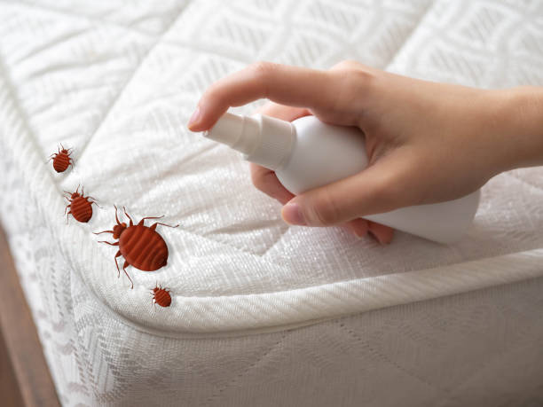 Best Pest Prevention Services  in Canyon Lake, TX