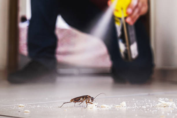 Pest Prevention Services in Canyon Lake, TX