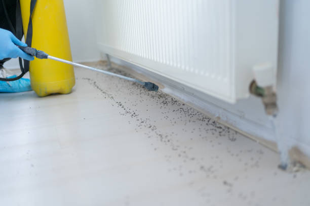 Best Pest Control Near Me in Canyon Lake, TX