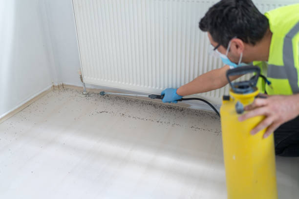 Best Residential Pest Control  in Canyon Lake, TX