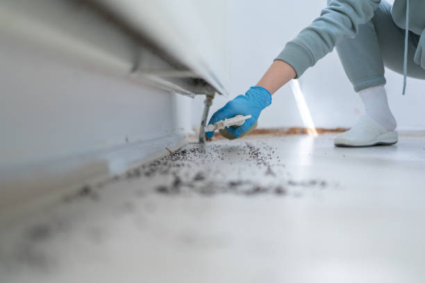 Best Pest Prevention Services  in Canyon Lake, TX