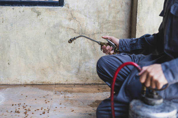 Best Affordable Pest Control Services  in Canyon Lake, TX